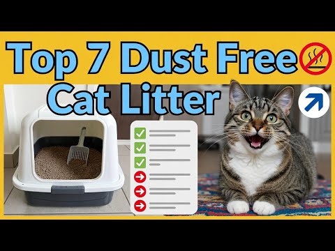 Top 7 Dust Free Cat Litter (Unexpected) The Cleanest Picks Ever