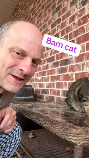 Hot Mess Ranch on Instagram: "This is Scarlet my little barn kitty that brought my a mouse the other night. 😊 #farmlife #farmanimals #ranch #cat"