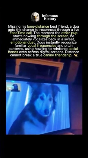 BEST FRIENDS RECONNECT VIA FACETIME