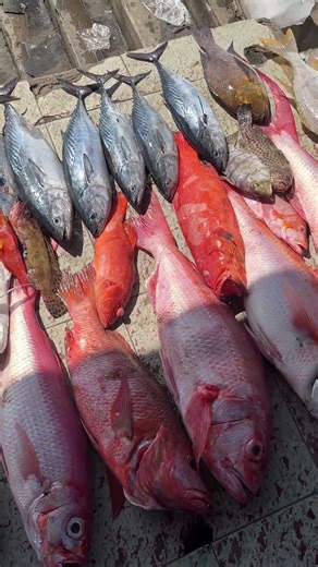 Spot belakang rumah #fishing #mancingceria #mancingmantap #jigging