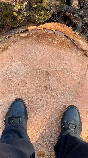 We have a Tree issue. Do we need a bigger chainsaw?