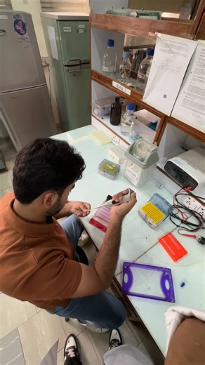 #nibge #molecularbiology #biotechnology #pcr #gelelectrophoresis #dnaanalysis #bacterialdna #microbiology #laboratoryskills #research #lifesciences #pakistan #handsonlearning | Faisal Rajpoot