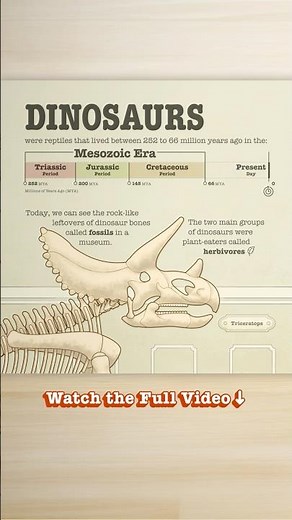 Dinosaurs Lived When? Fossils Are What? They Ate That? 🦖 Animated Dinosaur Book Read Aloud