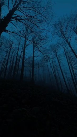 Yo quiero que estes #song #chill #tiktok TikTok