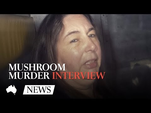 Inside the police interview that revealed Erin Patterson’s lies: Mushroom Trial