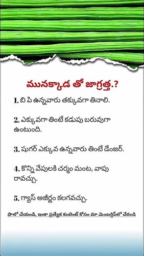 Dangerous Side Effects of Eating Too Much Drumstick (Moringa): Must Know Health Warnings