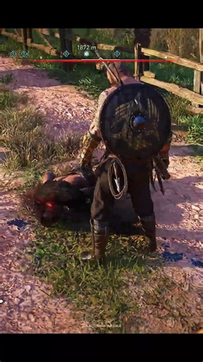 Viking Wolf #gaming #assassinscreed #assassinscreedvalhalla