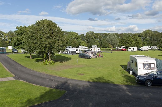 Blackmore Campsite