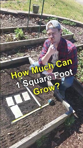 Plant Spacing Made Easy!!!