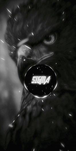 SIGMA 1% (@sigma.1629) adlı kullanıcının original sound - SIGMA 1% ile oluşturduğu videoları