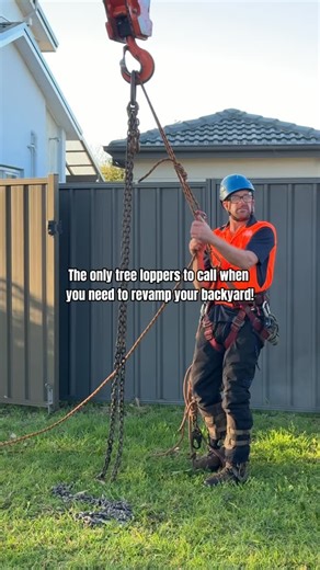 1.3K views | Backyard looking wild?  We’re the only tree loppers you...