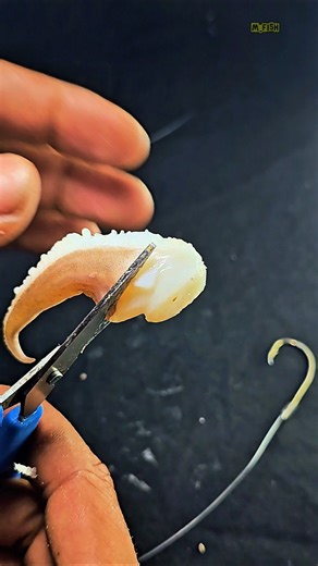 Beginner's Secret: Rigging Cuttlefish Tentacles #diy #gtknot #knot #fishing