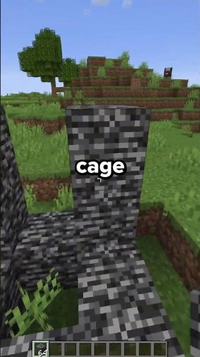 I Caught him Using X-RAY Hacks on My Minecraft Server…