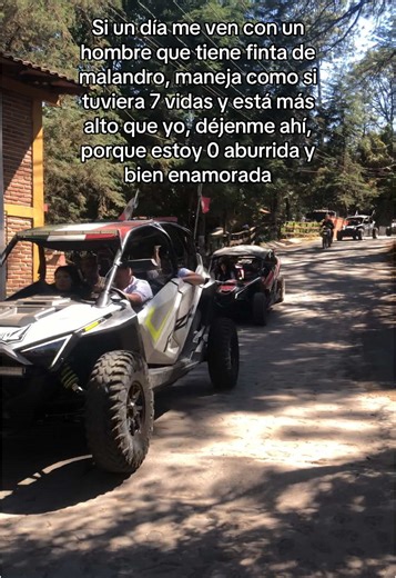 Manejando con Amor: La Aventura de Enamorarse