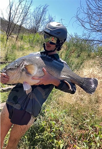 Murray Cod Fishing Tips and Tricks