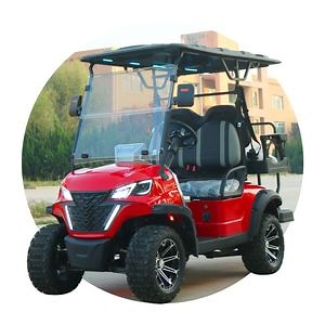 [Hot Item] Hot Sale High-Performance 48V Electric Golf Cart with Curtis Controller Electric Vehicle