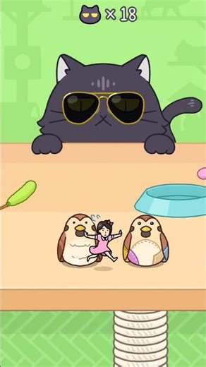 funny game play video #catvideos #cats #sorts #hide and seek game play