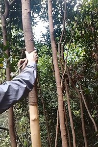 483K views · 581 reactions | I can't stop laughing 藍 | Craft Creative | Facebook