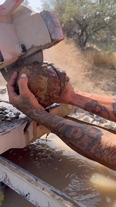 Oregon thunder eggs 💥 check out the polka dot agate miners if you want to dig your own next year! We had a blast. Each one is completely unique. | That Camping Couple