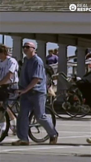 CDC investigators are on Martha's Vineyard, looking into a possible tularemia outbreak. Their focus? Landscapers. They're collecting blood samples and alerting doctors, because landscapers face higher risk. #CDCInvestigation #TularemiaOutbreak #MarthasVineyard #LandscapersHealth #PublicHealth From: Diagnosis Unknown Series 01 Episode 05 | Real Responders