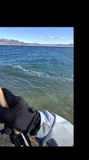 Fly Fishing Success at Pyramid Lake