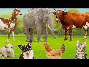 Visiting Farm Animals: Horse, Cat, Cow, Sheep, Dog, Chicken, Duck, Pig, Tiger – Farm Sounds