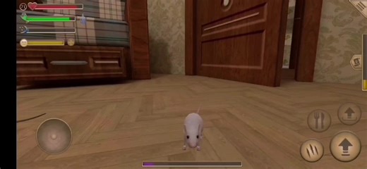 Симулятор мыши: находки и советы для новичков