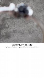 1.5K views · 13 reactions | Celebrate July birthdays and occasions with the enchanting Water Lily of July – available as a bead, silver foxtail bracelet, and bangle.  #trollbeads #trollbeadsofficial #july #giftidea #silver #pearl | Trollbeads | Facebook