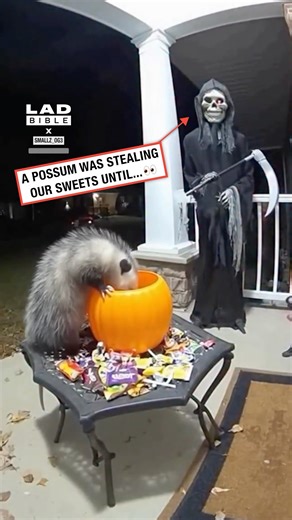 At least I know my decorations are scary 😂 | LADbible