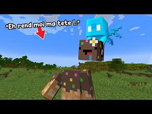 J'ai testé des Astuces Wtf pour finir Minecraft..