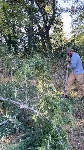 Unlock Deer Hunting Success: How to Create a Mock Scrape!
