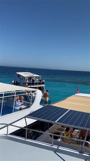 Égypte 🇪🇬🔥 – Plongée 🤿, coraux 🪸, soleil ☀️… le combo parfait