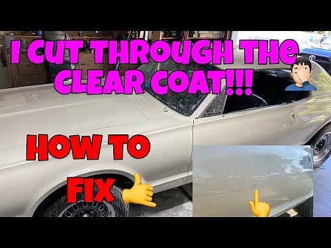 Paint Correction - Burned Through the Clear Coat