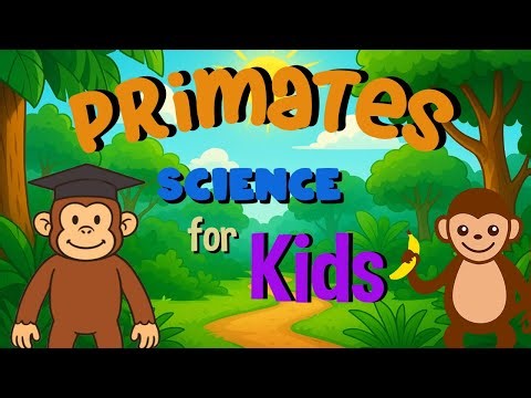 Primates | Science for Kids
