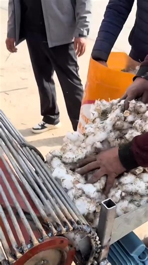 Satisfying Machine Action Captivates Viewers