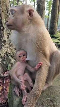 Cute Baby Alfie With Mom Amanda