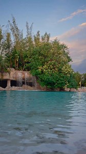 The moment has arrived. ✨ Our Black Friday Sale begins today! This is your opportunity to experience the beauty, serenity, and all-inclusive luxury of Discovery Cove for less. 💙 Reserve your escape today to save: ☀️ up to 50% visits through 2026 🐠 50% off SeaVenture 🦥 20% off Animal Trek 🐬 20% off Ultimate Animal Experience 🌴 20% off Cabanas ⛱ 20% off Daybeds 🥂 20% off Ultimate VIP Experience 📸 $30 off Digital Photo Package Our best deal of the year won't last long, secure your perfect da