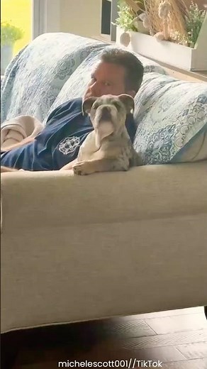 Most Human Dog You’ll Ever See Today