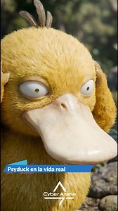 #pokémon #psyduck en la vida Real 😱 / #UltraRealista #UltraRealistic Psyduck es un #pokemon de tipo Agua, famoso por su expresión confundida y su comportamiento torpe pero entrañable. Su cuerpo es pequeño, redondeado y cubierto por un pelaje amarillo corto que siempre parece ligeramente húmedo. Tiene un pico ancho color crema y grandes ojos que reflejan constantemente desconcierto. Suele sostener su cabeza con ambas manos debido a intensos dolores que en realidad son causados por su poderoso p