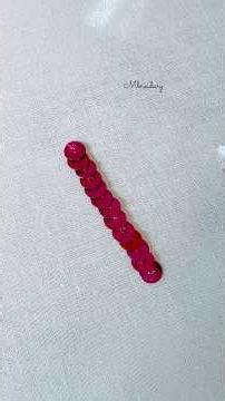 Sequins Stitch Hand Embroidery