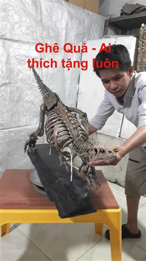 T Rex skull / Decor/ Handmade/ Diy / #shorts