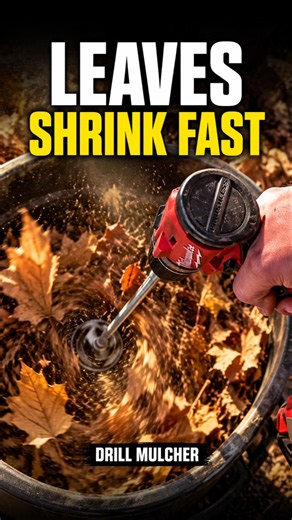 This Drill Turns A Giant Pile Of Leaves Into Dense Mulch #tools #yardwork