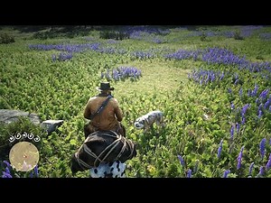 Rdr2 - This insane realism of Wolves playing together blew my mind