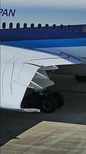 Boeing 787 Slats and Flaps in Action | Stunning Wing Movement Before Takeoff