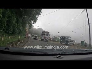 Cloudy & Rainy Hills | Scenic Meghalaya Journey