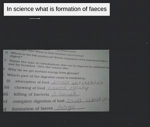 In science what is formation of faeces... | Filo