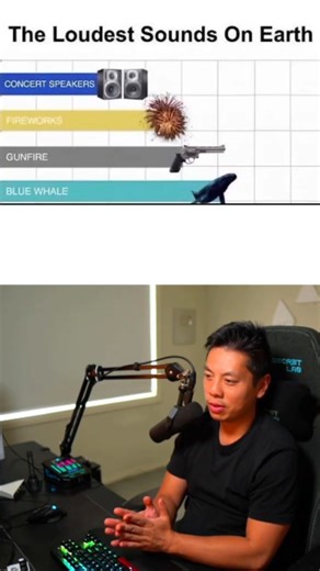 Ranking The Loudest Sounds On Earth