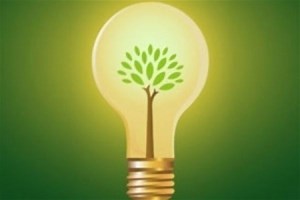 Биогазовая когенерационная установка TIS Eco получила «зеленый» тариф