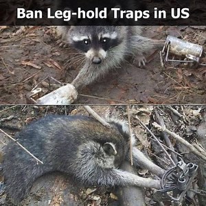 266K views · 4.7K reactions | URGENT. SIGN & SHARE PETITION Save...