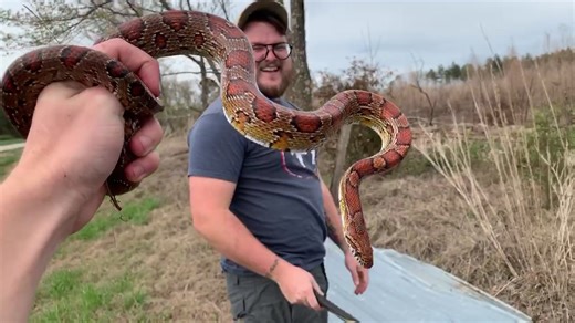 NKFherping on TikTok